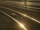 tracks